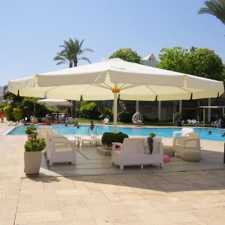 Royal Park- Magical Garden Apartment Ейлат Екстер'єр фото